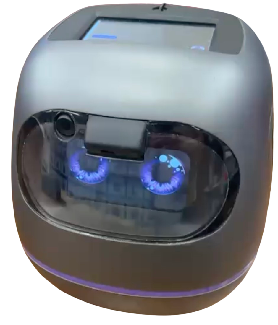 Digital Companion Robot